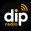 undefined DIP RADIO