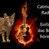 undefined Catmusik
