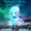 undefined polargeist
