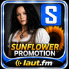undefined Sunflower Promotion - Volksmusik