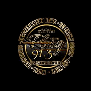 91.3 The Plug Radio 