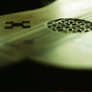 ein-achtel-lorbeerblatt