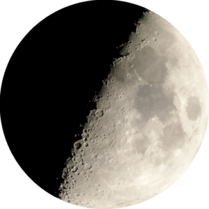 Moon Safari