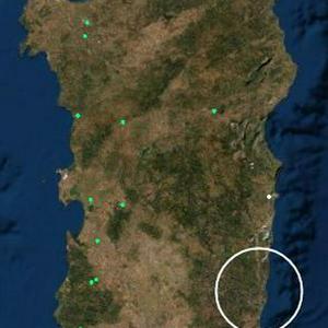 Radiocorallo