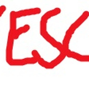 Visionisten