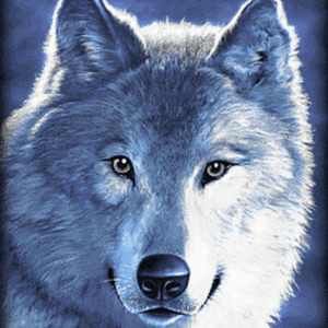 wolfs-radio1