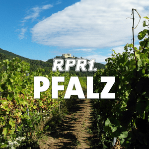 RPR1. Pfalz