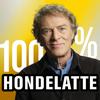 undefined 100% HONDELATTE