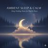 undefined Ambient Healing, Sleep & Calm
