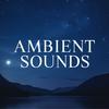 undefined Ambient Sounds
