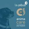 undefined Anima Care pour tous, les podcasts