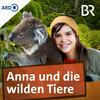 undefined Anna und die wilden Tiere