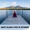 undefined Bruits Blancs pour se détendre / White Noises to relax