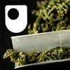 undefined Cannabis, Consciousness and the Imagination - for iPad/Mac/PC