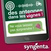 undefined Des antennes dans les vignes
