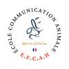 undefined Dialogue Instinctif : le podcast pour tout savoir sur la communication animale