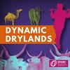 undefined Dynamic Drylands