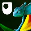 undefined Evolution and the human family - Audio
