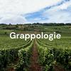 undefined Grappologie - Vin &amp; Podcast