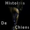 undefined Histoires de Chiens