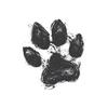 undefined Holistic Pet Radio