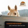undefined HorseFriendship - Des chevaux dans le van !