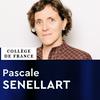 undefined Innovation technologique Liliane Bettencourt (2025-2026) - Pascale Senellart