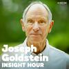 undefined Insight Hour with Joseph Goldstein