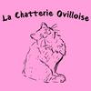 undefined La Chatterie Ovilloise : élevage de chats Sibériens et conseils pour une adoption réussie !