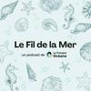 undefined Le Fil de la Mer