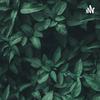undefined Le minimalisme -Le podcast