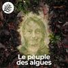 undefined Le Peuple des Algues