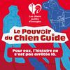 undefined Le pouvoir du chien guide - Histoires vraies et témoignages : handicap et inclusion