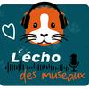 undefined L'écho des museaux