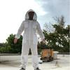 undefined Les abeilles? Pourquoi pas