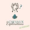 undefined Les Chevaux Explorateurs