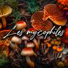 undefined Les Mycophiles