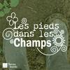 undefined Les pieds dans les champs