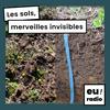 undefined Les sols, merveilles invisibles