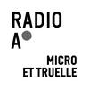 undefined Micro et truelle, la chronique des archéologues de la Ville de Lyon
