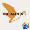 undefined Migrations d'oiseaux