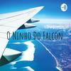 undefined O Ninho Do Falcon - Projeto Rock Nas Alturas