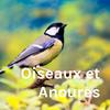 undefined Oiseaux et Anoures