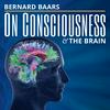 undefined Consciousness and the Brain