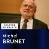 undefined Paléontologie humaine - Michel Brunet