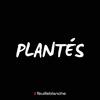 undefined Plantés