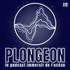 undefined Plongeon