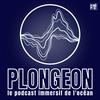 undefined Plongeon