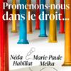 undefined Promenons-nous dans le droit...