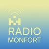 undefined Radio Monfort : Entretiens d'artistes, par Louisa Léo